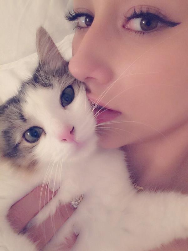 ダレノガレ明美さんって ネコ大好き でも猫アレルギーブログ